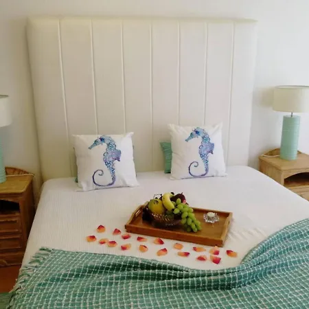 Appartamento 2 Bed Flat - Sleeps 4 - Parking - Wifi Nazaré