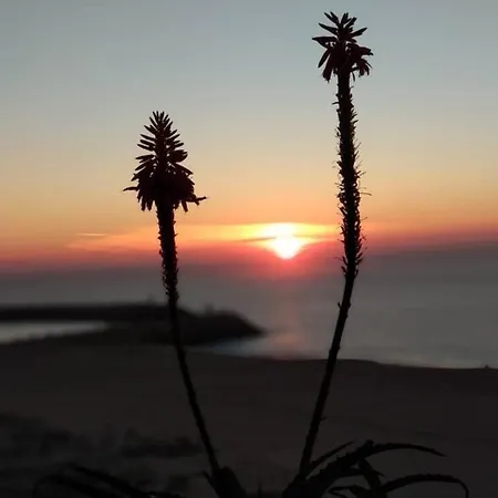 Dream -beautiful Spot شقة نازاريه
